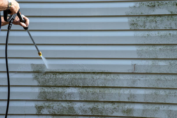 Best Furniture Removal  in Park Hills, KY