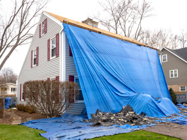 Best Basement Cleanout  in Park Hills, KY